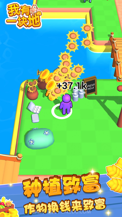 我有一块地截图10 我有一块地截图10