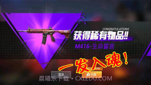 和平精英开箱模拟器截图4