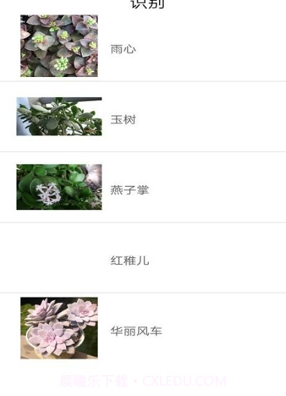 品植-植物识别软件截图2 品植-植物识别软件截图2