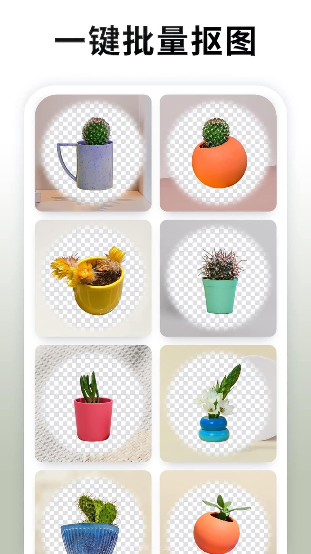 快咔设计截图1 快咔设计截图1