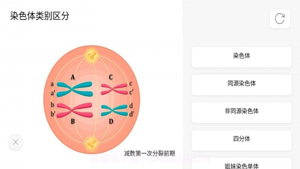 遗传与进化截图5 遗传与进化截图5