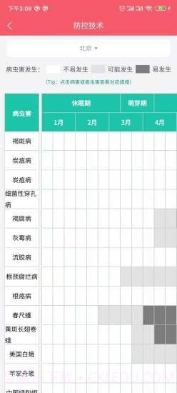 樱桃医生截图3 樱桃医生截图3