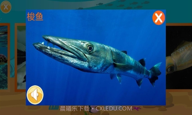 儿童快速识动物(好用婴幼儿早教助手)V1.2 安卓手机版截图3