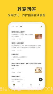 尖叫猫截图4 尖叫猫截图4