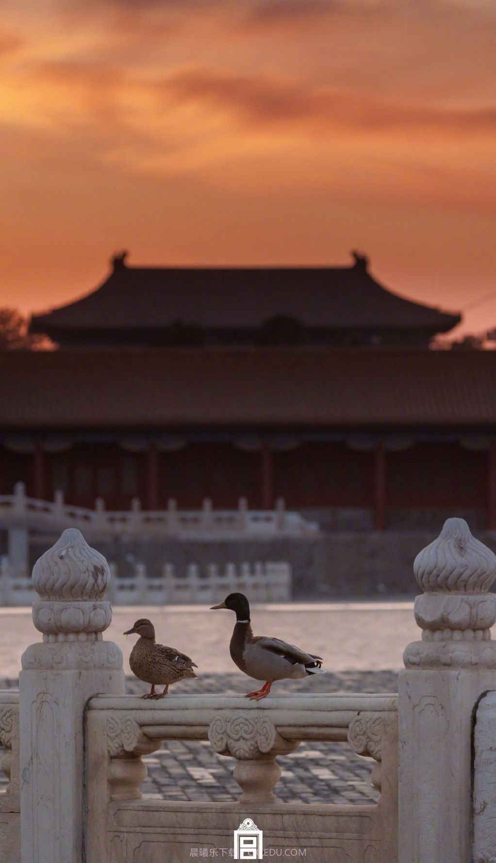 故宫春日温馨壁纸图片截图1