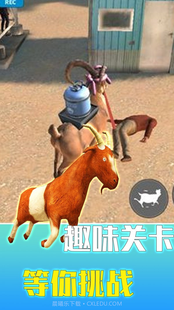 疯狂动物调查局截图3 疯狂动物调查局截图3