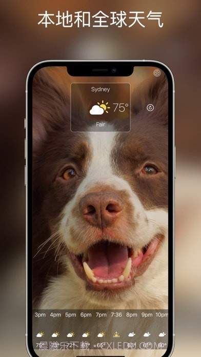 狗天气直播截图4 狗天气直播截图4