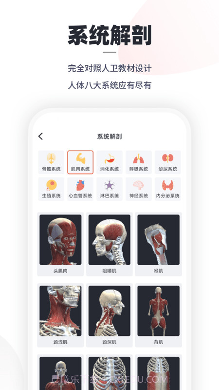 口袋解剖截图1
