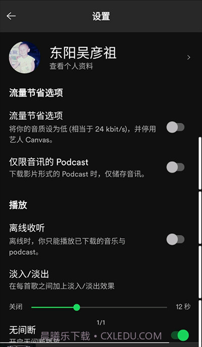 声破天Spotify截图3