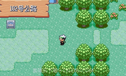 口袋妖怪绿宝石rom截图3 口袋妖怪绿宝石rom截图3