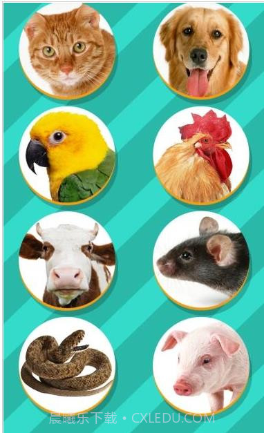 小动物语言翻译器截图1 小动物语言翻译器截图1