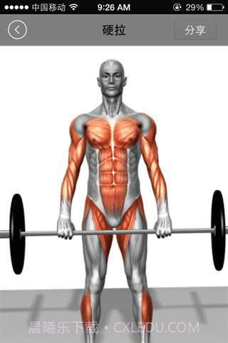 健美宝典截图3 健美宝典截图3