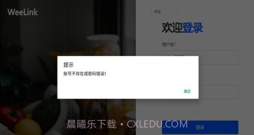 weelink会议截图1