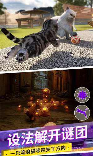 猫咪城市模拟器截图3 猫咪城市模拟器截图3