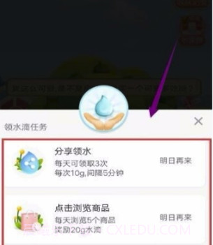 多多果园拼多多(真实水果包邮工具)V5.10.1 安卓免费版截图2