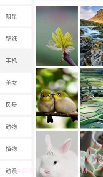 搜图界截图3 搜图界截图3