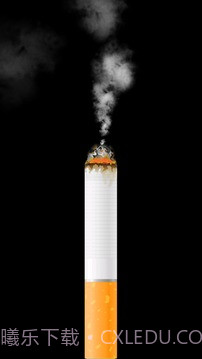 卷烟模拟器截图2 卷烟模拟器截图2