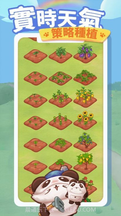 猫咪旅游记截图1