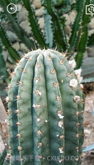 妙妙生活贴心宝截图3