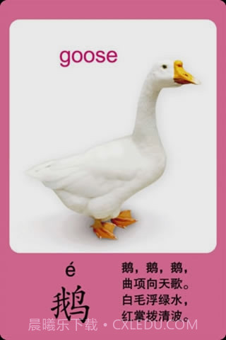 爱动物截图3 爱动物截图3