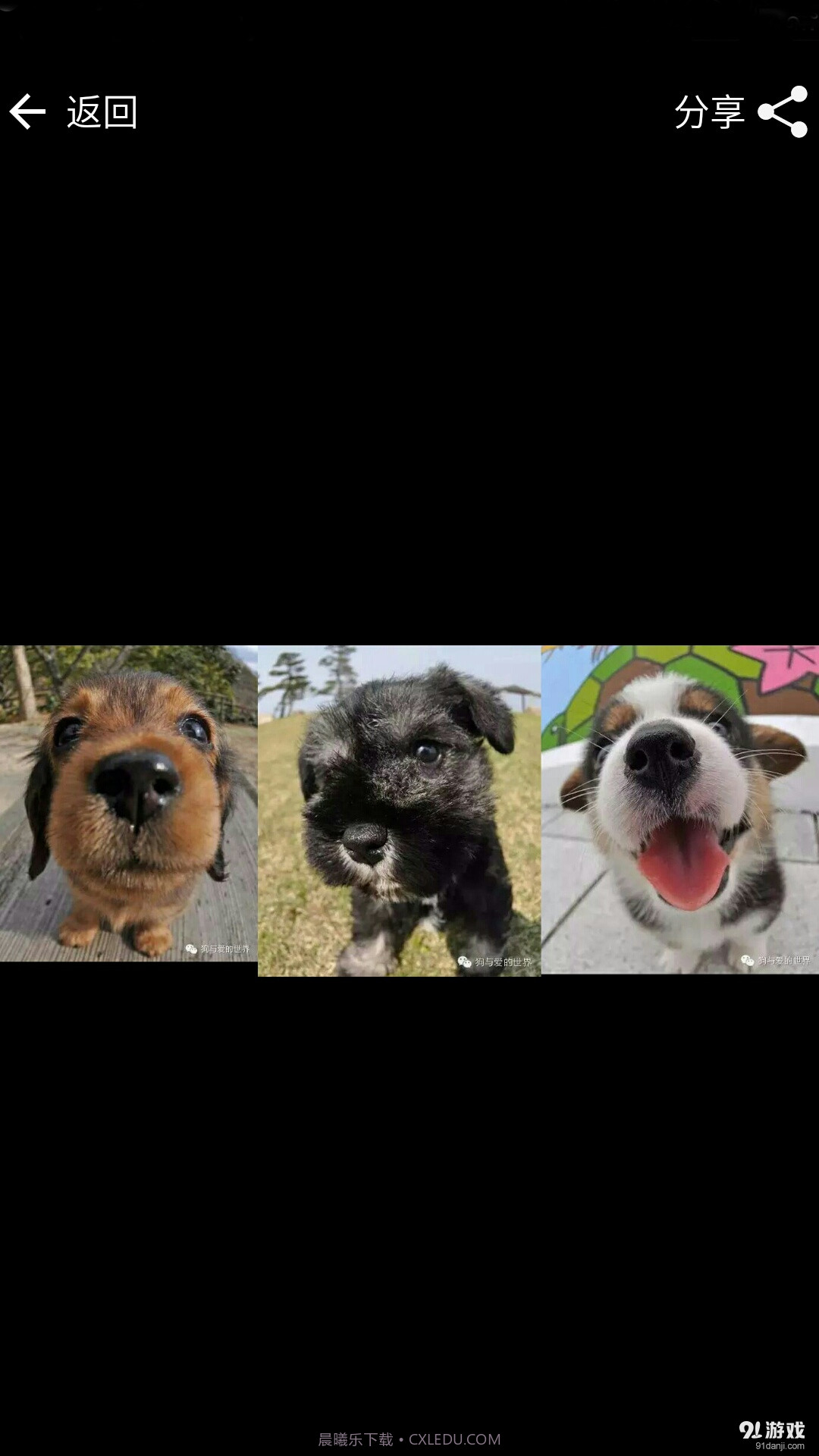 长图生成器截图2