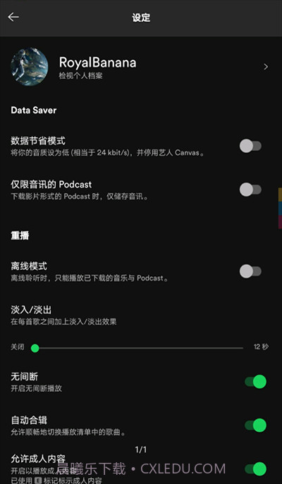 声破天Spotify截图2