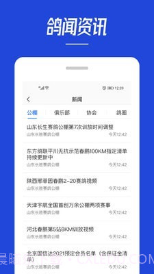 青鸽网截图1 青鸽网截图1