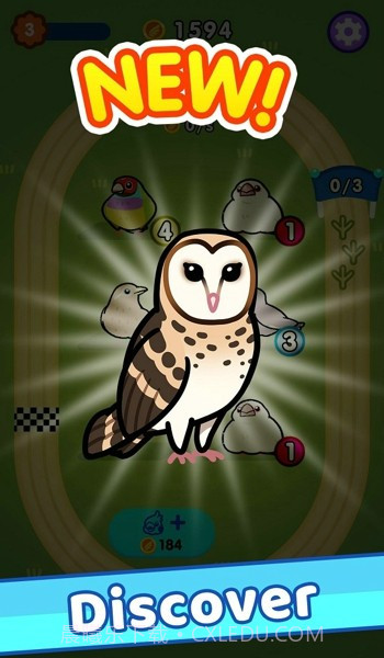 放置鸟乐园截图1 放置鸟乐园截图1