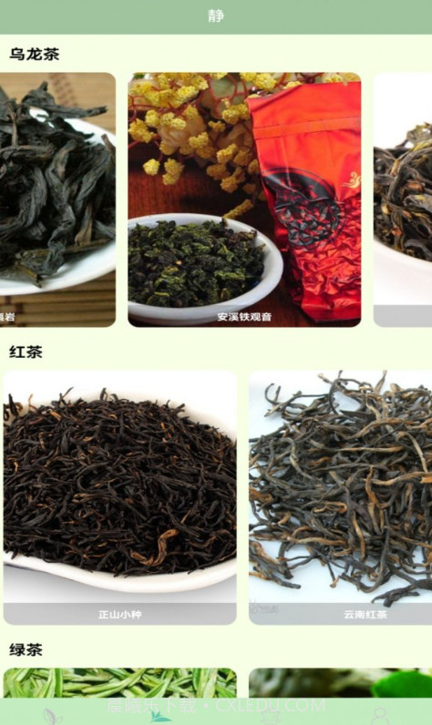 我的茶园截图3 我的茶园截图3