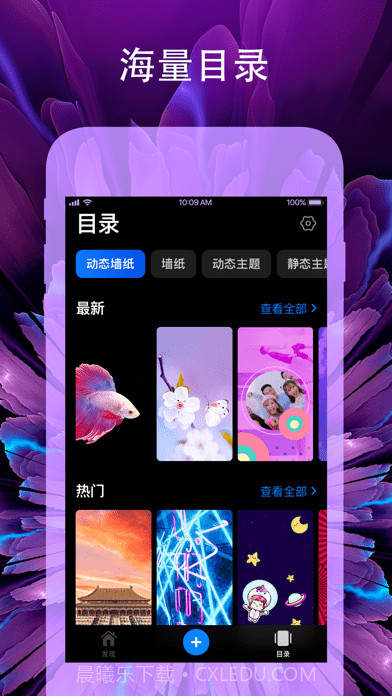 爱动态壁纸4K版截图4 爱动态壁纸4K版截图4