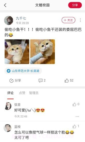 文鲤校园截图4 文鲤校园截图4