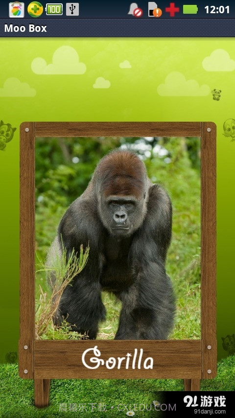 动物的声音软件截图3