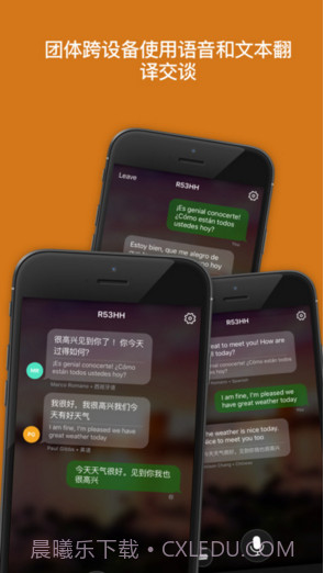 微软翻译截图4 微软翻译截图4