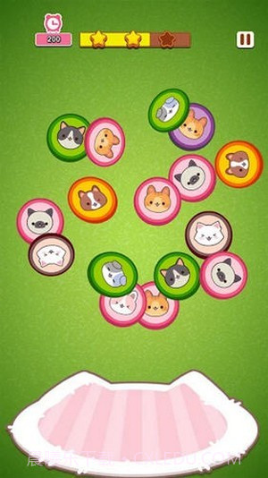 喵喵酒店照片截图2 喵喵酒店照片截图2