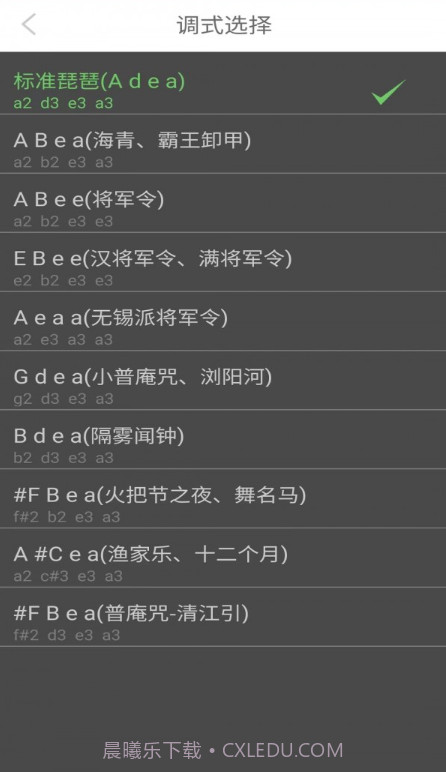 智能琵琶调音器截图2