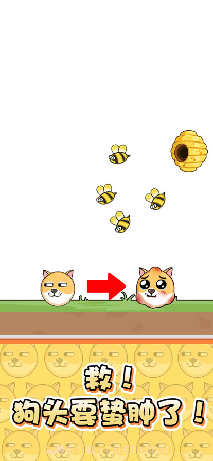 我的狗狗截图5 我的狗狗截图5