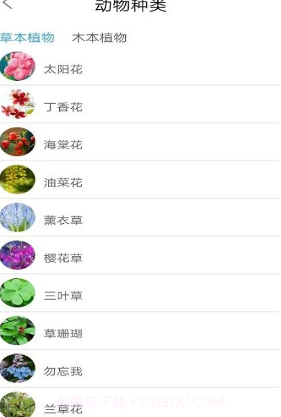 品植-植物识别软件截图1 品植-植物识别软件截图1