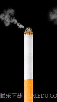 卷烟模拟器截图1 卷烟模拟器截图1