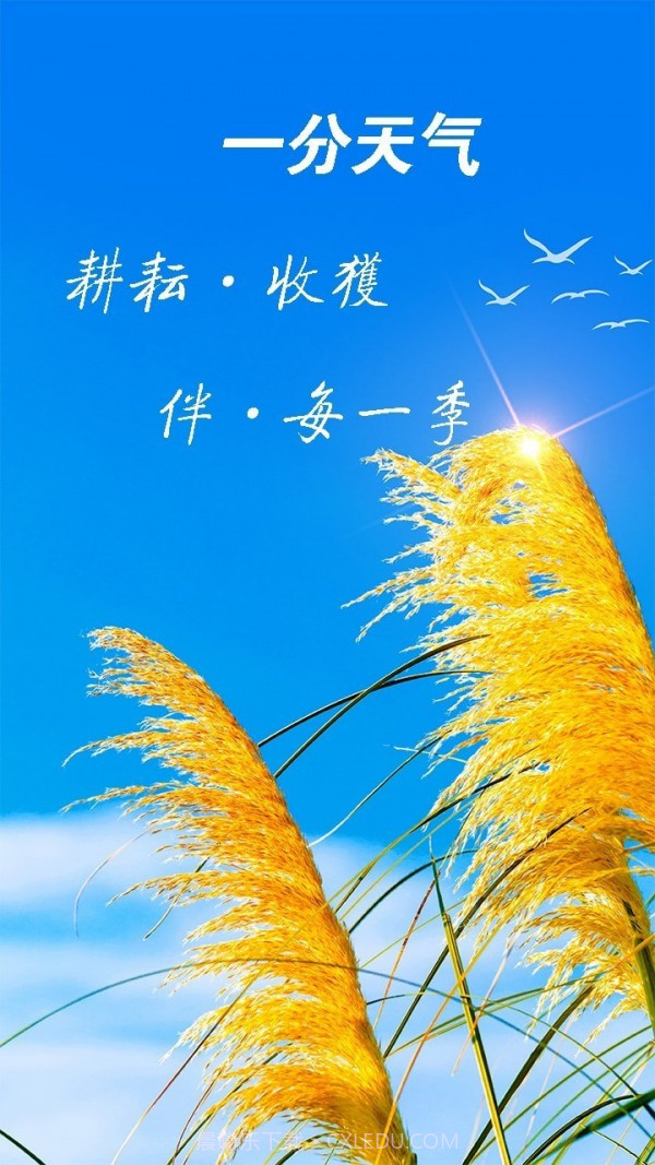 天气预报神器截图3 天气预报神器截图3