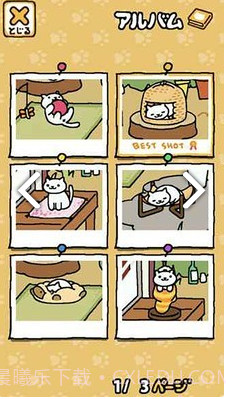 猫咪后院下载中文版截图3