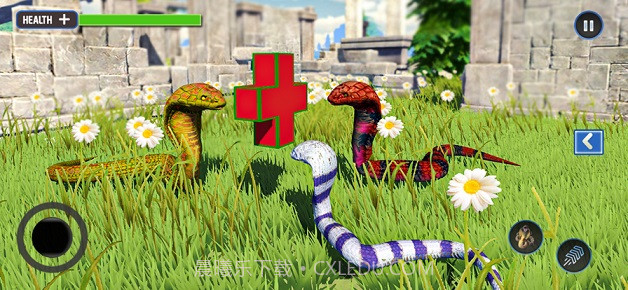 野生生命蛇模拟器截图1