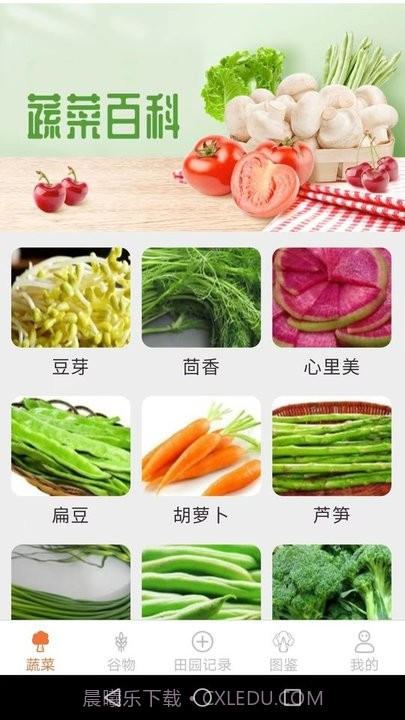 口袋田园百科知识截图1