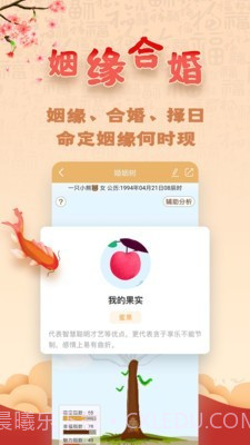 易奇八字算命大师截图5
