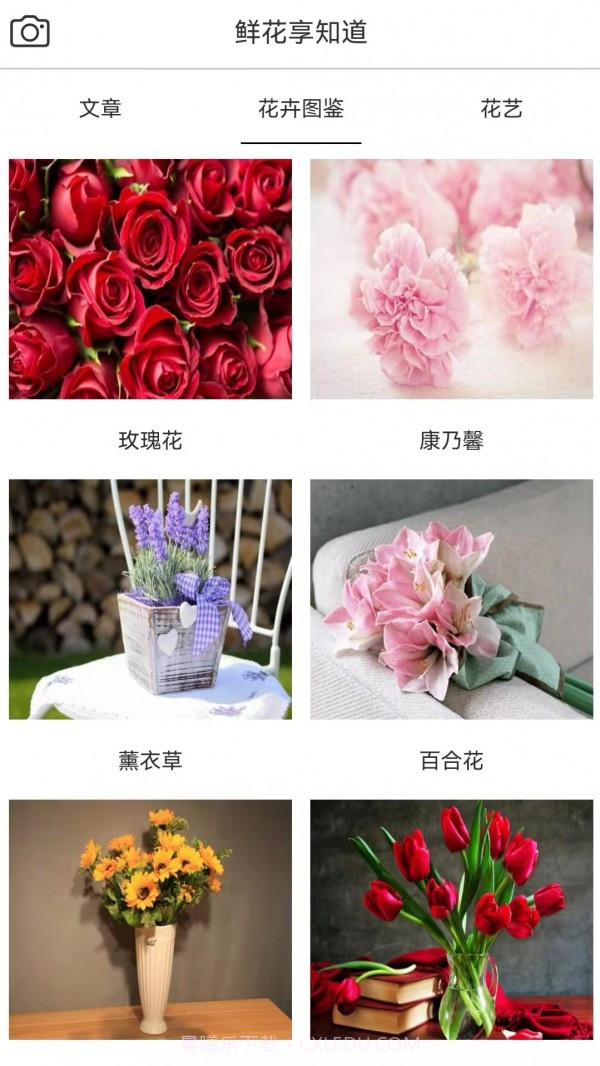 鲜花助力物理截图1 鲜花助力物理截图1