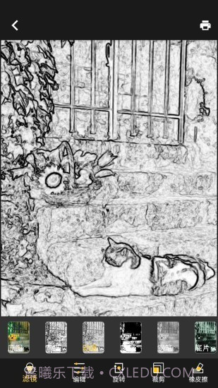 DiDiCam截图4 DiDiCam截图4