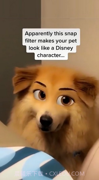 迪士尼滤镜截图4 迪士尼滤镜截图4