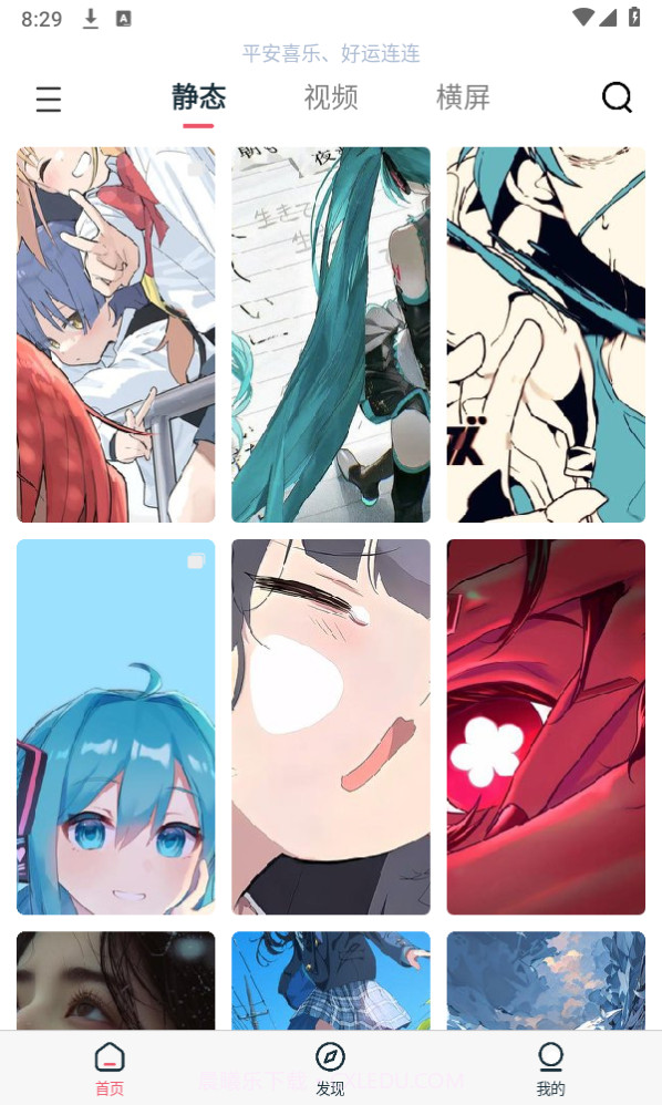 椰子壁纸截图4 椰子壁纸截图4