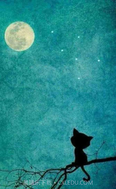 俏影视频剪辑截图3 俏影视频剪辑截图3