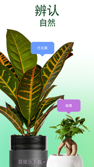 爱自然ID截图1 爱自然ID截图1