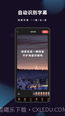 爱字幕2021截图1